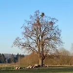 Auszeit Im Fachwerkhaus Ferienhaus *