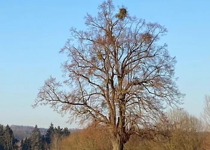 Auszeit Im Fachwerkhaus Сasa de vacaciones *